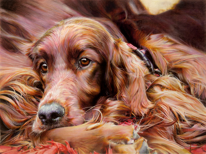 Irish setter sales painting